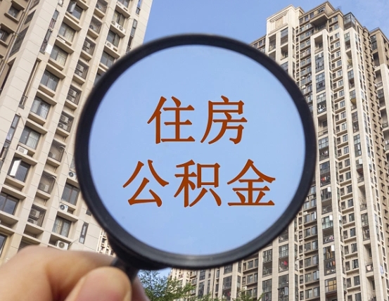 乐清退休后查不到公积金明细了吗（退休后公积金查询不到原因）